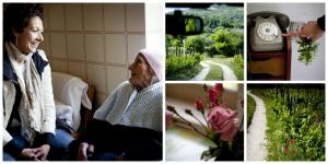 Anitanonnamurolucano